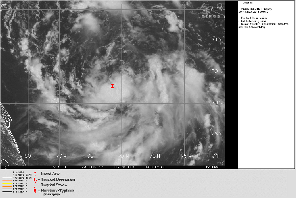062914 1km 91L vis loop