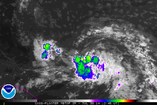 073014 93L Sat loop afternoon