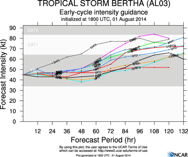 080114 Bertha Intensity models